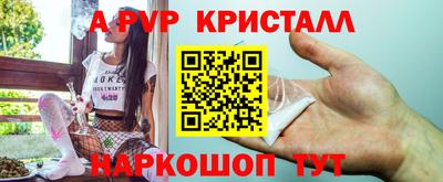 сатива Кингисепп