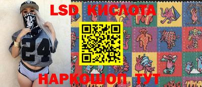 гашик Кимры
