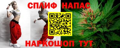 сатива Кингисепп