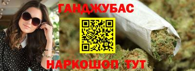 сатива Кингисепп