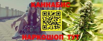 сатива Кингисепп