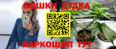 гашик Кимры