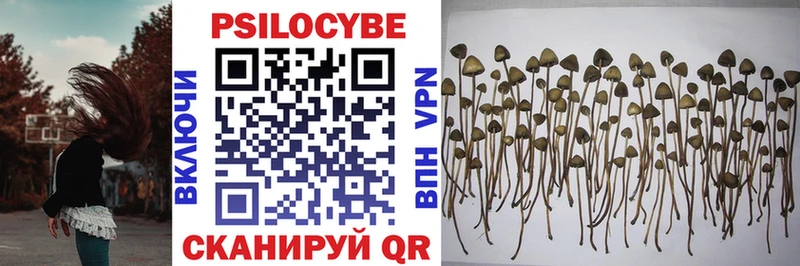 Галлюциногенные грибы мухоморы Муром